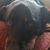 Brian Cwiklinski's profile image