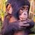 Cheng Nutchaddy's profile image