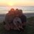 Casey McMorrow Darling's profile image