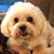 Donna Marie Entrevia's profile image