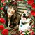 Kay S Odom's profile image