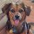 Kevin Brown's profile image