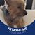 Teresa Beyer's profile image