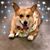 Sook Mei Chay's profile image