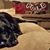 Chrissy Cronk Palamara's profile image