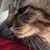 Sario Hsiao's profile image
