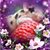 Diana Racek Adamson's profile image