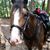 Karen Gearhardt's profile image