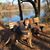 Amy Kitts Debon's profile image