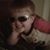 Tracey Meadows's profile image
