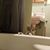 Nichole Petroff's profile image