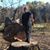 Josh Williams's profile image