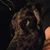 Katz Wilson's profile image
