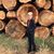 Debbie Weber Millard's profile image
