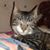 Melanie Traenkner's profile image