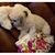 Norma Bennett Barto Moss's profile image