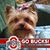 Sherry Silverwood Beach's profile image