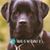Jen Gates-Labadie's profile image
