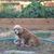 Janet Hanssen's profile image
