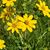 Lori Liane Powers's profile image