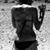 Nicole SoBomb Jackson's profile image