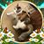 Arianne Jackson Frater's profile image