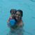 Jacqueline Candice Murray's profile image