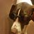 Reuben Pink's profile image