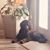 MaryAnn Geyer Robinson's profile image