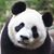 Avery Keeling's profile image