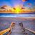 Terri M Bear Eyler's profile image