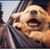 Jennifer Stevens's profile image