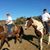 Paula Harris Walters's profile image