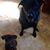 Judith Clemons's profile image