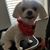 Debbie Risner McClure's profile image