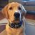 Mark Ochtinsky's profile image