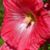 Ana Godil's profile image