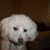 Karla Swafford's profile image