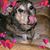 Karen Thomas's profile image