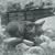 Denise Daubert Echevarria's profile image