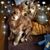 Michele Christman-Cash's profile image