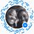 Wanda Holmes Brooks's profile image