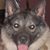 Gary Wayne Sams Sr's profile image