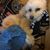 Abigail Christine Ruby's profile image