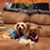 Lynn Berger-Eberhardt's profile image
