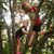 Agnieszka Jackowiak's profile image