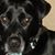 Cindy Burkett's profile image