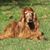 Penny Sprinkle's profile image