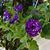 Wendy Bucklin's profile image