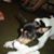 Catherine Calderon's profile image